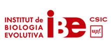 Logo_IBE